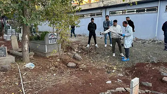 Siverek'te mezarlıkta bebek cesedi bulundu