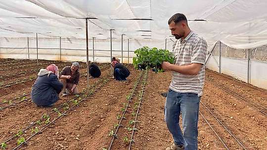 Sulu tarım mevsimlik tarım işçiliğini bitirdi
