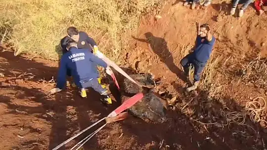 Tahliye kanalına düşen inek kurtarıldı