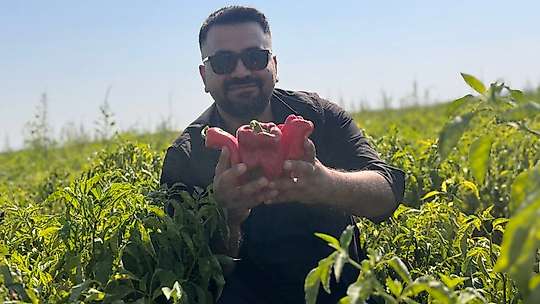 Tarlalardan sofralara acı yolculuk başladı