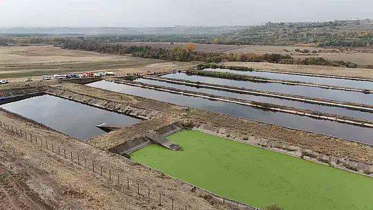 Tedavi gördüğü hastaneden ayrıldıktan sonra sazlık alanda ölü bulundu