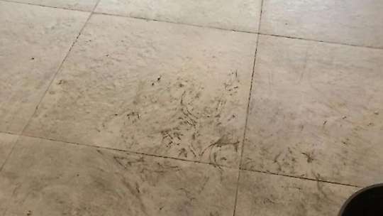 Tekstil fabrikasından yayılan kömür dumanı mahalleliyi canından bezdirdi
