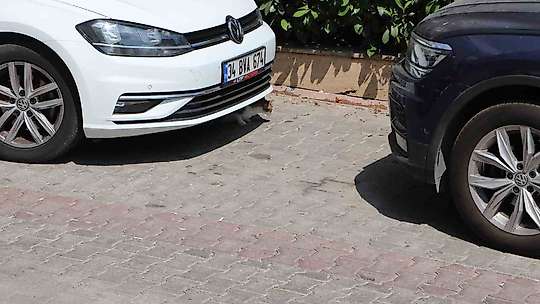 Telef olan kediyi besleyen vatandaşlardan pitbullun sahibine tepki