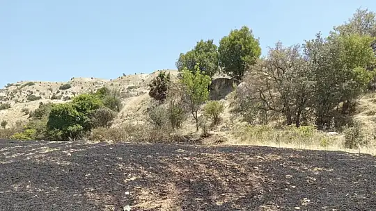 Tunceli'de 34 dönüm arpa yangında kül oldu