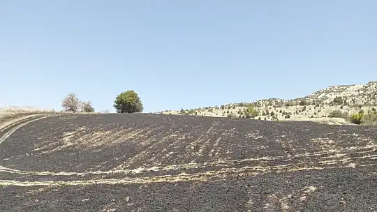Tunceli'de 34 dönüm arpa yangında kül oldu