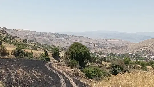 Tunceli'de 34 dönüm arpa yangında kül oldu