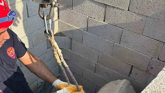Tuvalet kuyusuna düşen boğa itfaiye ekipleri tarafından kurtarıldı