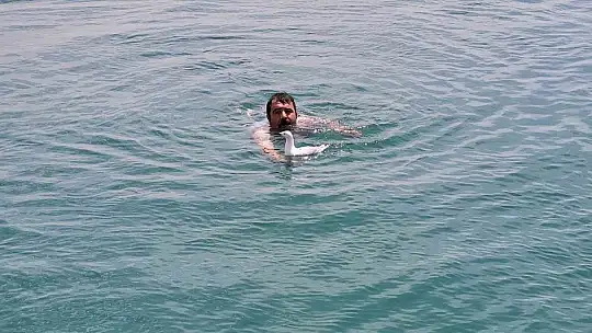 Uçamadığı için barajda mahsur kalan martıyı tekne çalışanı kurtardı