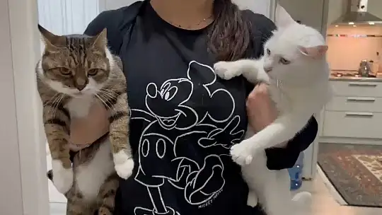 Uzmandan evcil hayvanlarda aşı uyarısı