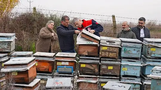 Yağmur arı yetiştiricilerini vurdu