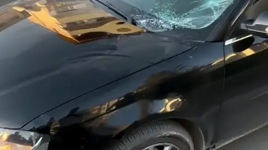 Yaşlı adamın öldüğü kazada sürücü serbest kaldı