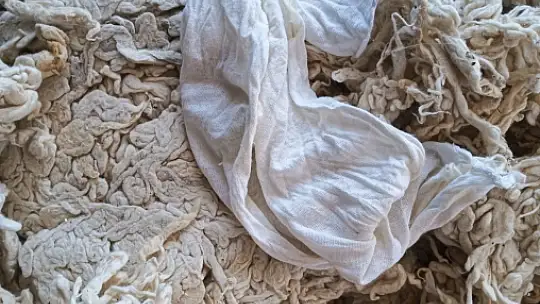 Yenilenmesi için getirilen yün yastıktan 7 Cumhuriyet altını çıktı