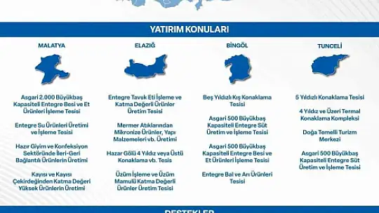 Yerel kalkınma hamlesi teşvik programı ile yatırımcılara 240 Milyon TL'ye kadar destek