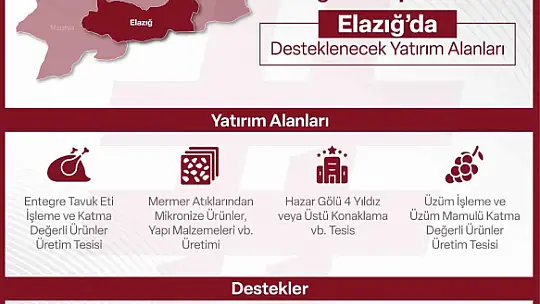 Yerel kalkınma hamlesi teşvik programı ile yatırımcılara 240 Milyon TL'ye kadar destek