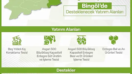 Yerel kalkınma hamlesi teşvik programı ile yatırımcılara 240 Milyon TL'ye kadar destek