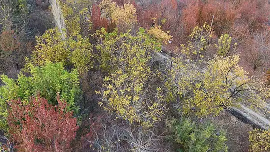 Yeşilyurt'ta sonbaharda kartpostallık görüntüler ortaya çıktı