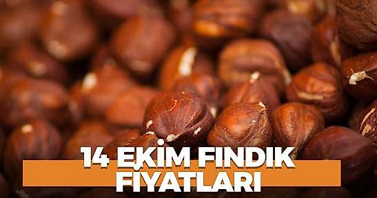 14 Ekim 2026 Çarşamba il il fındık fiyatları ne kadar?