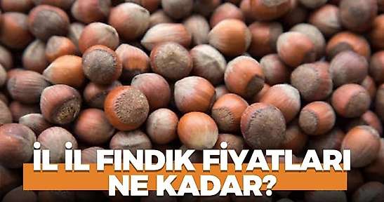 21 Ekim 2026 Çarşamba fındık fiyatları ne kadar? İl il fındık fiyatları