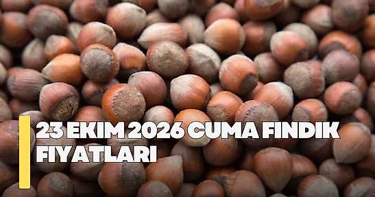 23 Ekim 2026 Cuma fındık fiyatları! İl il fındık fiyatları ne kadar?