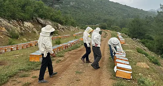 Adıyamanlı arıcılar, 2025 yılı bal fiyatlarını açıkladı