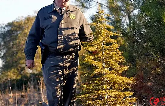 OGM orman mühendisi nedir, ne iş yapar, ne kadar maaş alır?