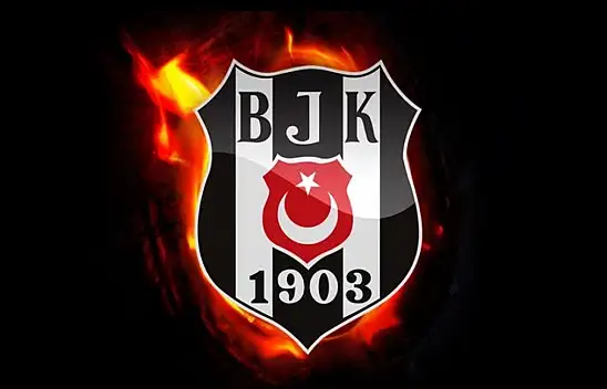 SON DAKİKA: Beşiktaş'tan sert açıklama! Köpeksiz köy bulanlar...