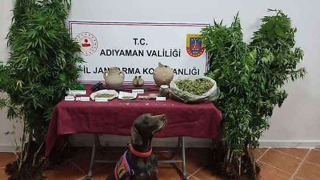 Kahta'da Uyuşturucudan 1 Kişi Gözaltına Alındı