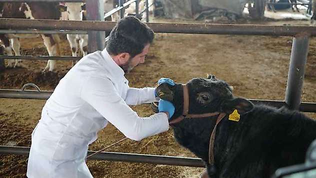 Başkan Kılınç, 'Kuduz' Açıklaması Yaptı