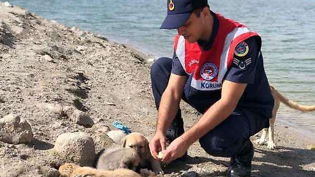 Görevleri sadece asayişi sağlamak değil, doğa için de çalışıyorlar - Videolu Haber