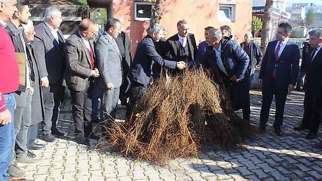 Çiftçilere 10 bin nar fidanı dağıtıldı