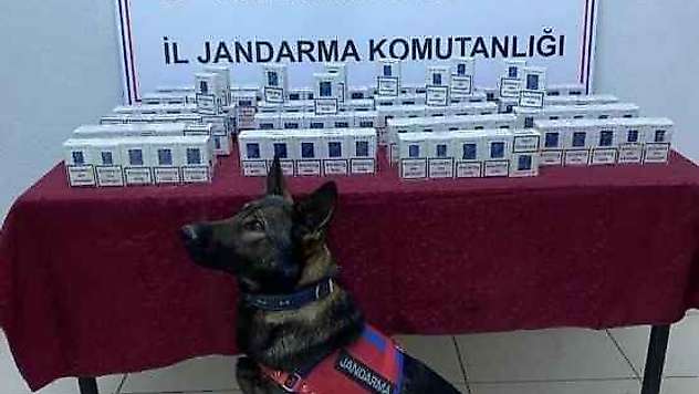 Bandrolsüz kaçak sigaraya 1 gözaltı