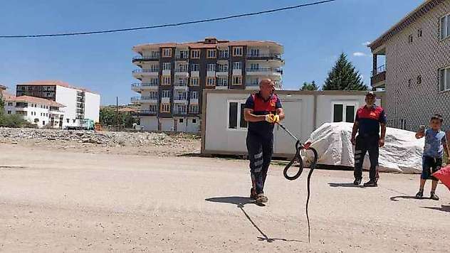 Evin Bahçesine Giren Yılan Yakalandı