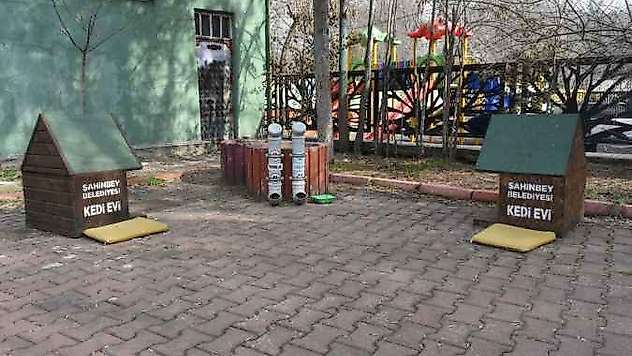 Sokak Hayvanları İçin Su Çağrısı