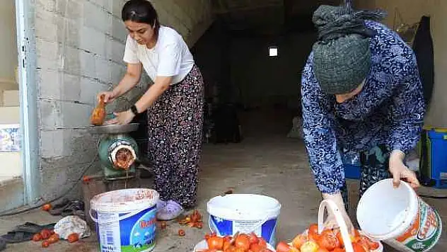 Kavurucu Sıcak Altında Salça Yapımı Başladı