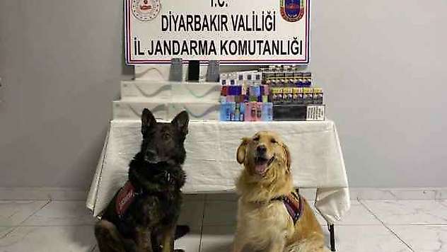 Jandarma ekipleri kaçakçılara geçit vermiyor