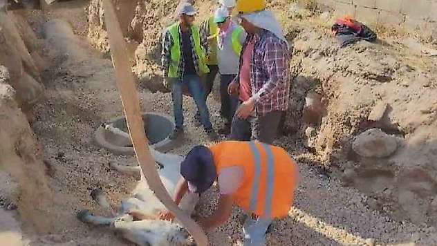 Kuyuya Düşen Eşek İş Makinasıyla Kurtarıldı
