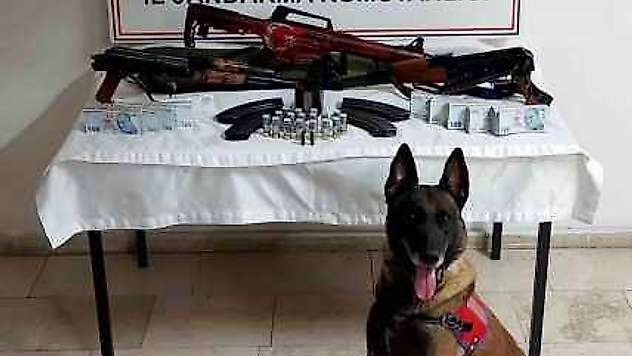 Kalaşnikofları Bahçesine Gömen Şüpheli Tutuklandı