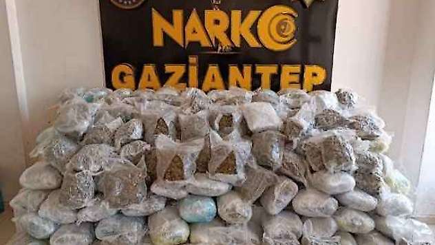 81 Kilo Skunk Ele Geçirildi