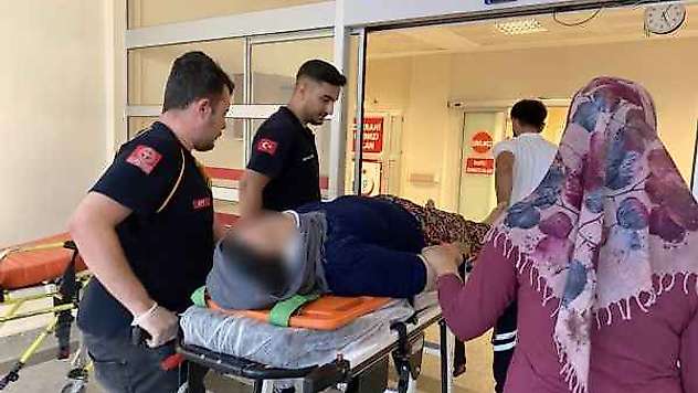 İncir Ağacından Düşen Kadın Yaralandı