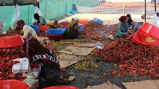 İsotun Acı Serüveni Başladı