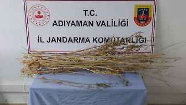 Adıyaman'da Kubar Esrar Maddesi Ele Geçirildi