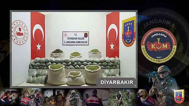 1 Milyon 260 Bin Kök Skunk Ele Geçirildi