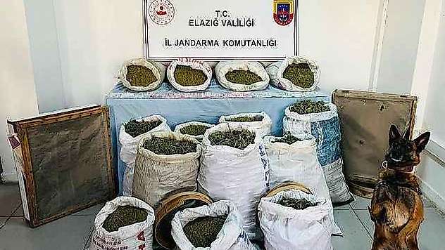 241 kilo esrar ele geçirildi: 2 tutuklama