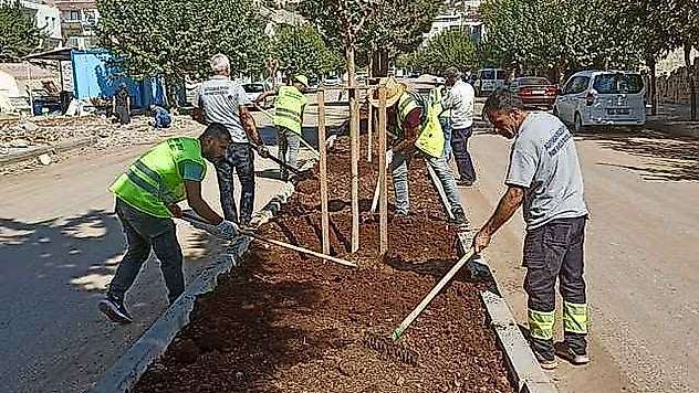 Refüj Ve Kavşakların Bakım, Onarım Çalışmalarına Devam Ediyor