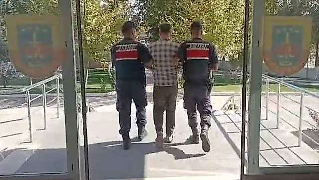 245 Adet Sikke Ele Geçirildi