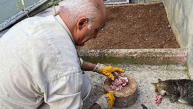 Depremde Tedavi Edip İyileştirdiler, Şimdi Ailenin Parçası Oldu