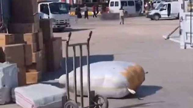 Sokak Ortasında Birbirlerine Ateş Ettiler
