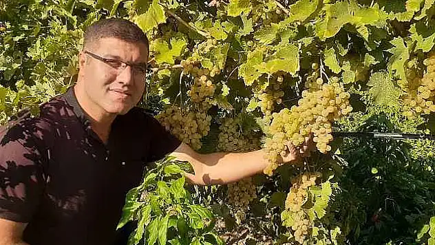 Modern Tarım İle 17 Ayda Tonlarca Üzüm Elde Etti