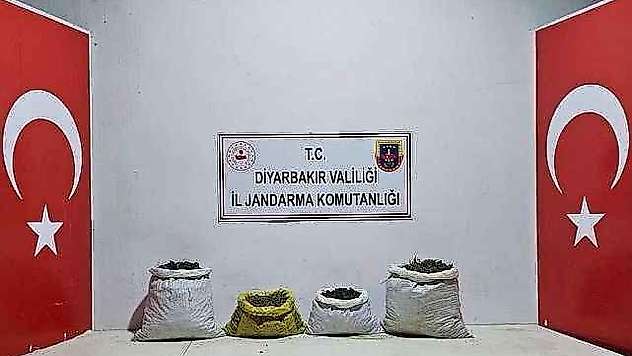 7 Bin Kök Kenevir İle 79 Kilogram Esrar Ele Geçirildi