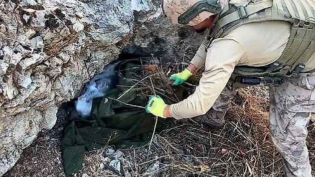603 Kilo Esrar, 640 Bin Esrar Bitkisi Ele Geçirildi